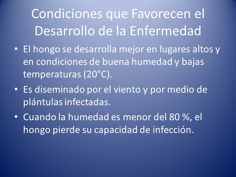 El hongo de las uñas que sanar el foro